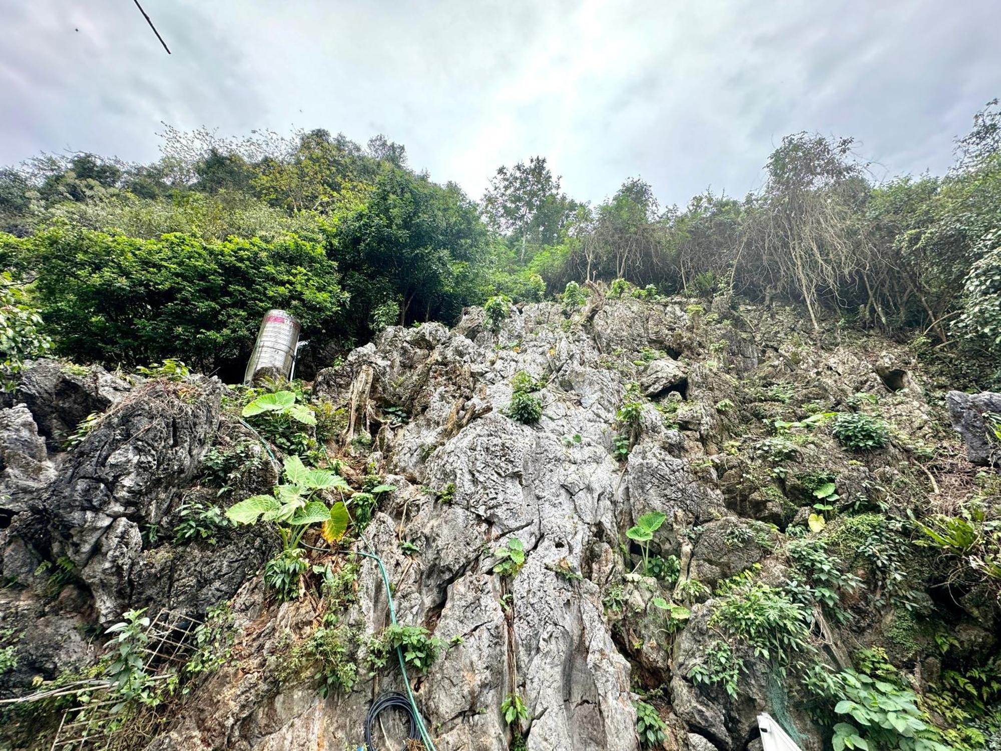 Bed and Breakfast Strawberry House , Tour & Motorbikes Rentel Ha Giang Exterior foto